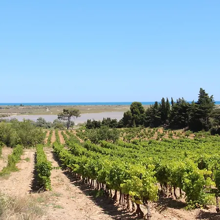 公寓 Les Hauts D'azur By Interhome Saint-Pierre-la-Mer (Aude)